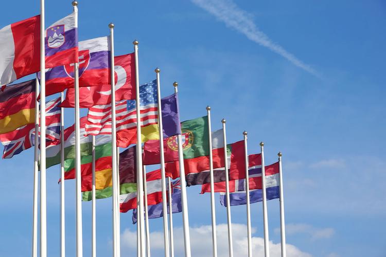 Specialization Certificate in International Relation