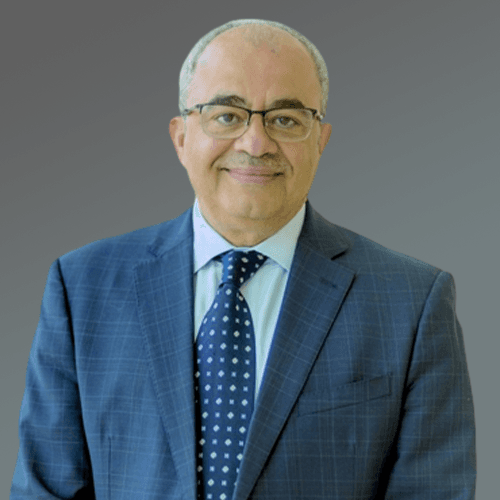 Imad AlDin Shaheen