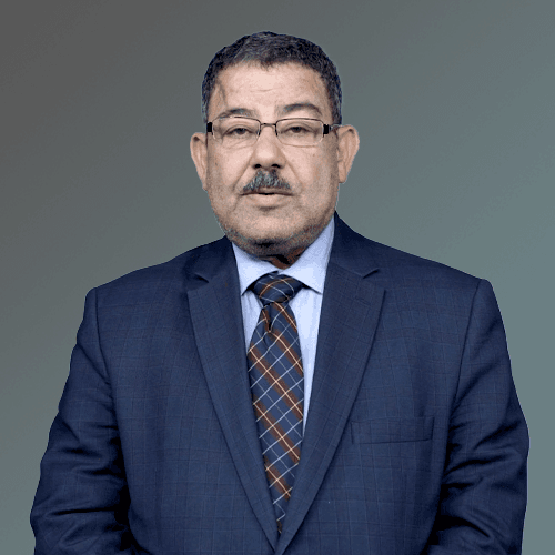 Seif Abdel Fattah