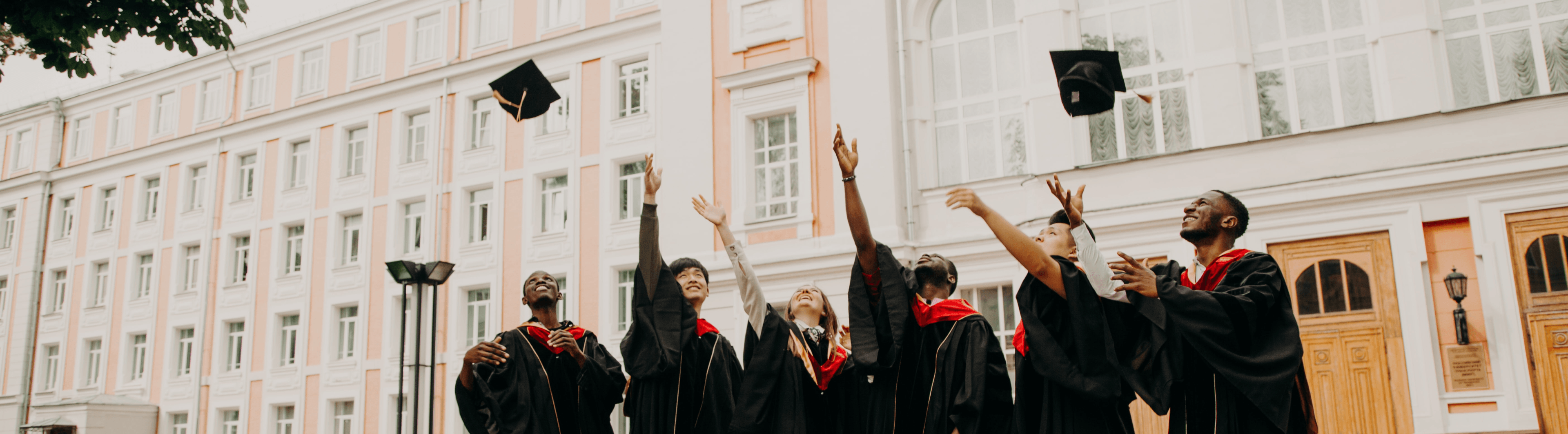 Executive Diploma Programs